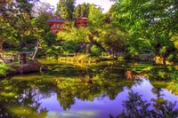 Serene Reflections in a Japanese Garden Pond