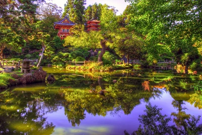 Reflexões serenas em um lago de jardim japonês