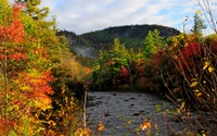 Vibrante naturaleza salvaje de otoño junto al río