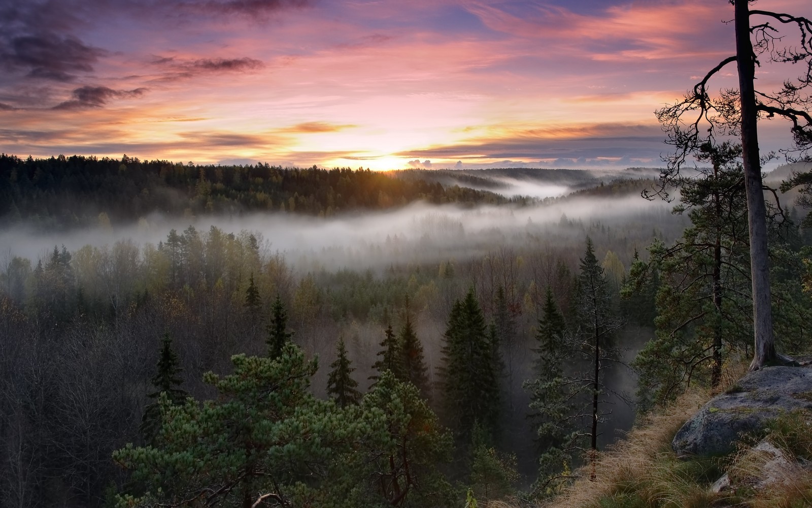 noux national park, finland, sunrise, fog, forest wallpaper