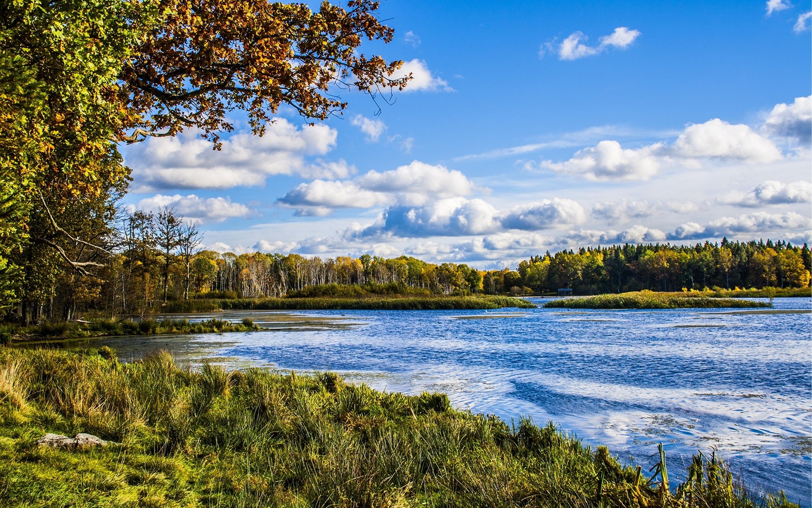 landscape, river, natural landscape, nature, water wallpaper