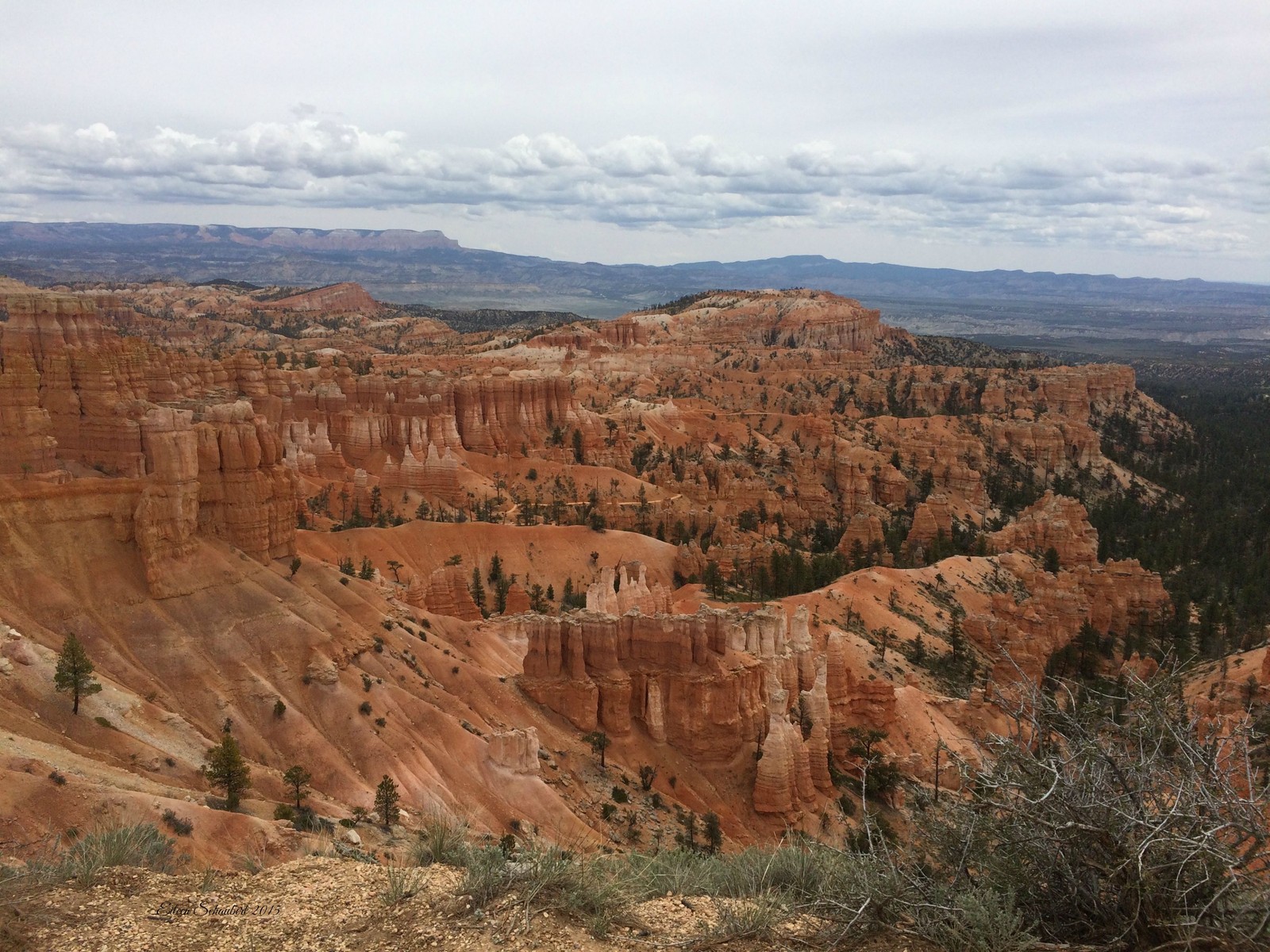 A view of a canyon with a few trees and mountains in the background (bryce canyon national park, grand canyon national park, national park, canyon, park)