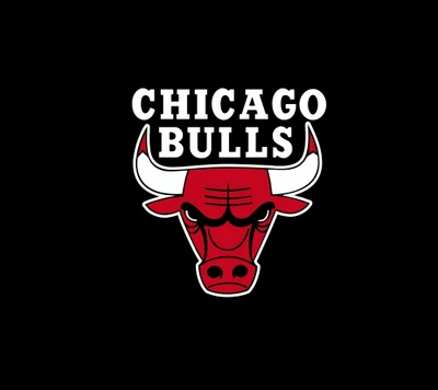 bulls, chicago