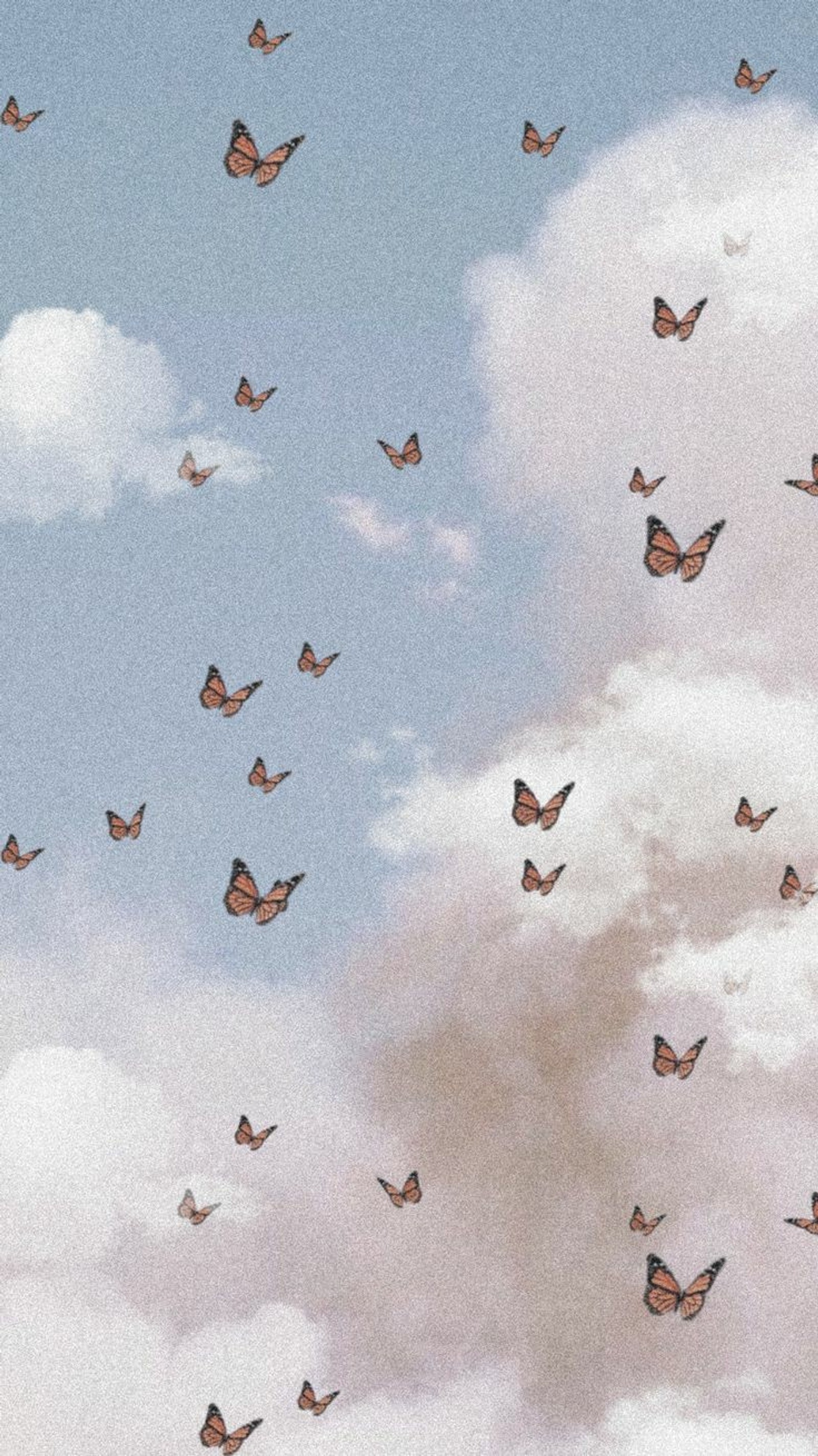 aesthetic, angel, butterflies, butterfly, butterfly aesthetic wallpaper