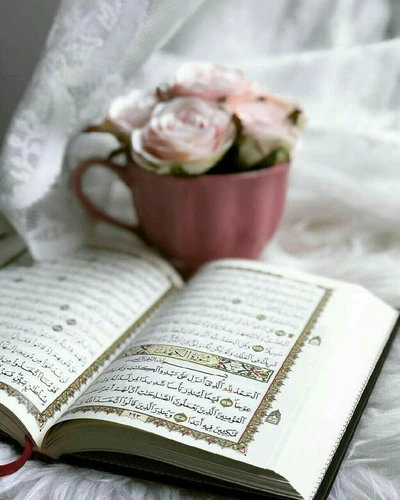 arabic, lights, quran