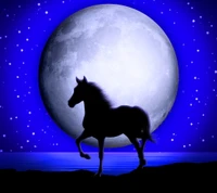 Silhouetted horse against a luminous blue moonlit night sky.