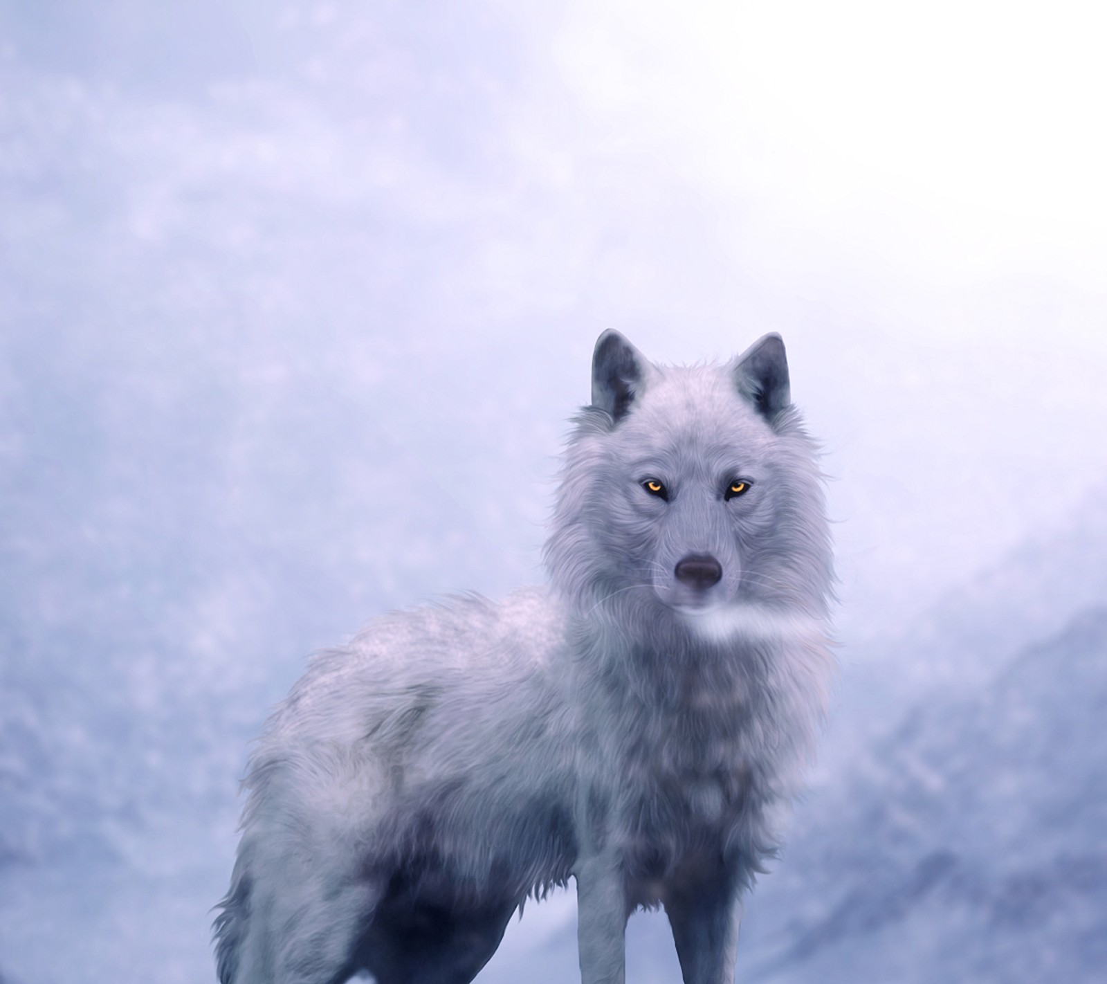 Ein weißer wolf steht auf einem felsen im schnee (weiß, winter, der wolf)