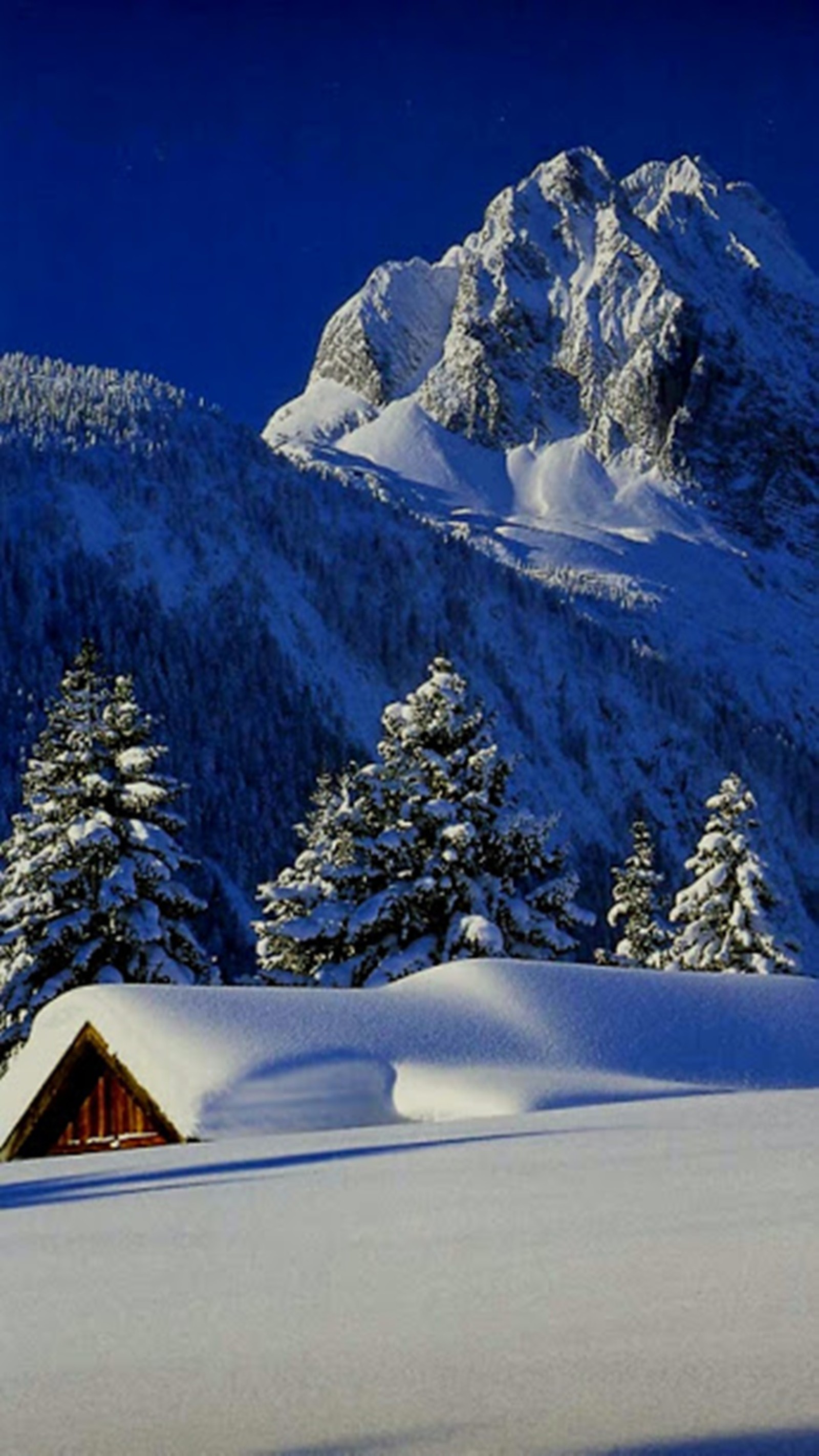 Chaîne de montagnes enneigée avec une cabane au premier plan et des conifères au premier plan (paysage, enneigé)