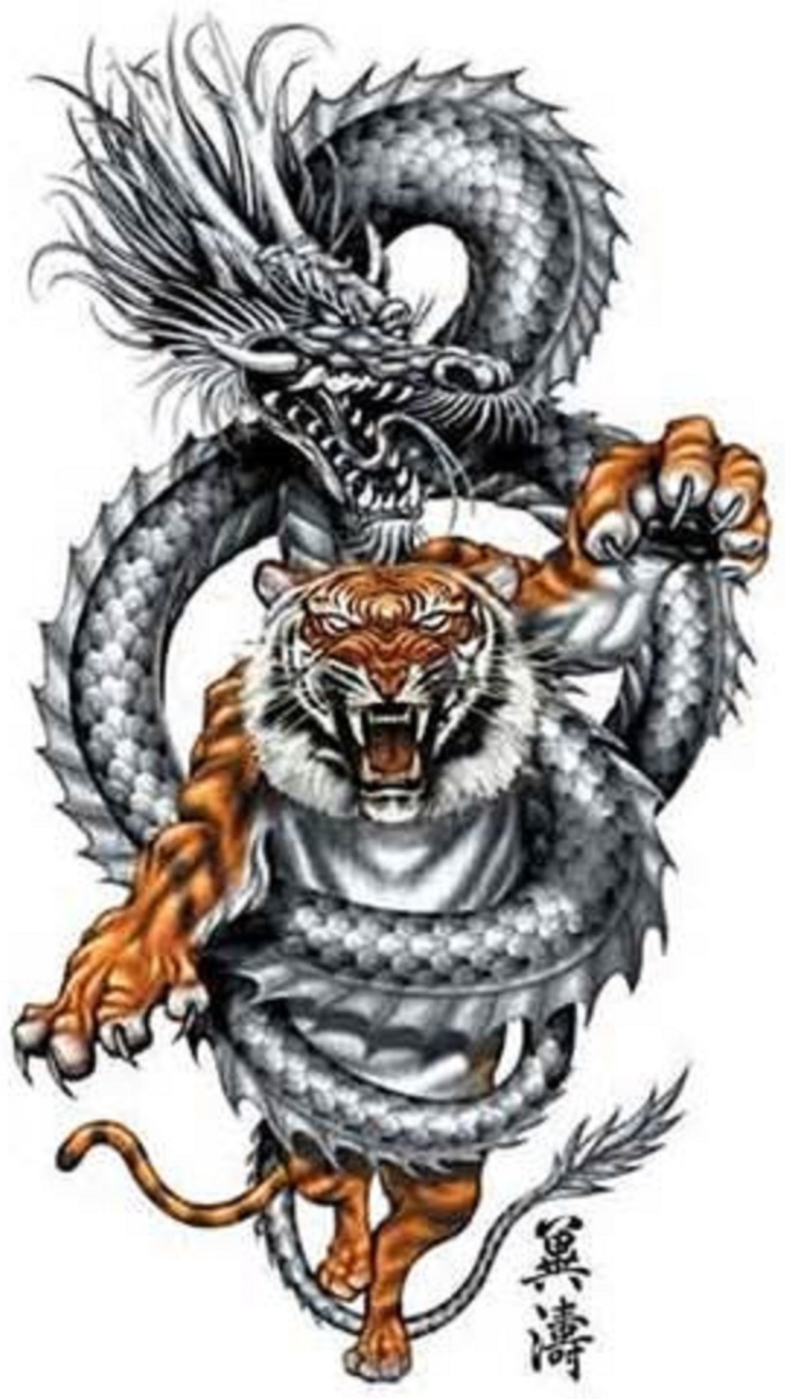 Un design de tatouage de tigre et de dragon sur un fond blanc (autre, tatouage)