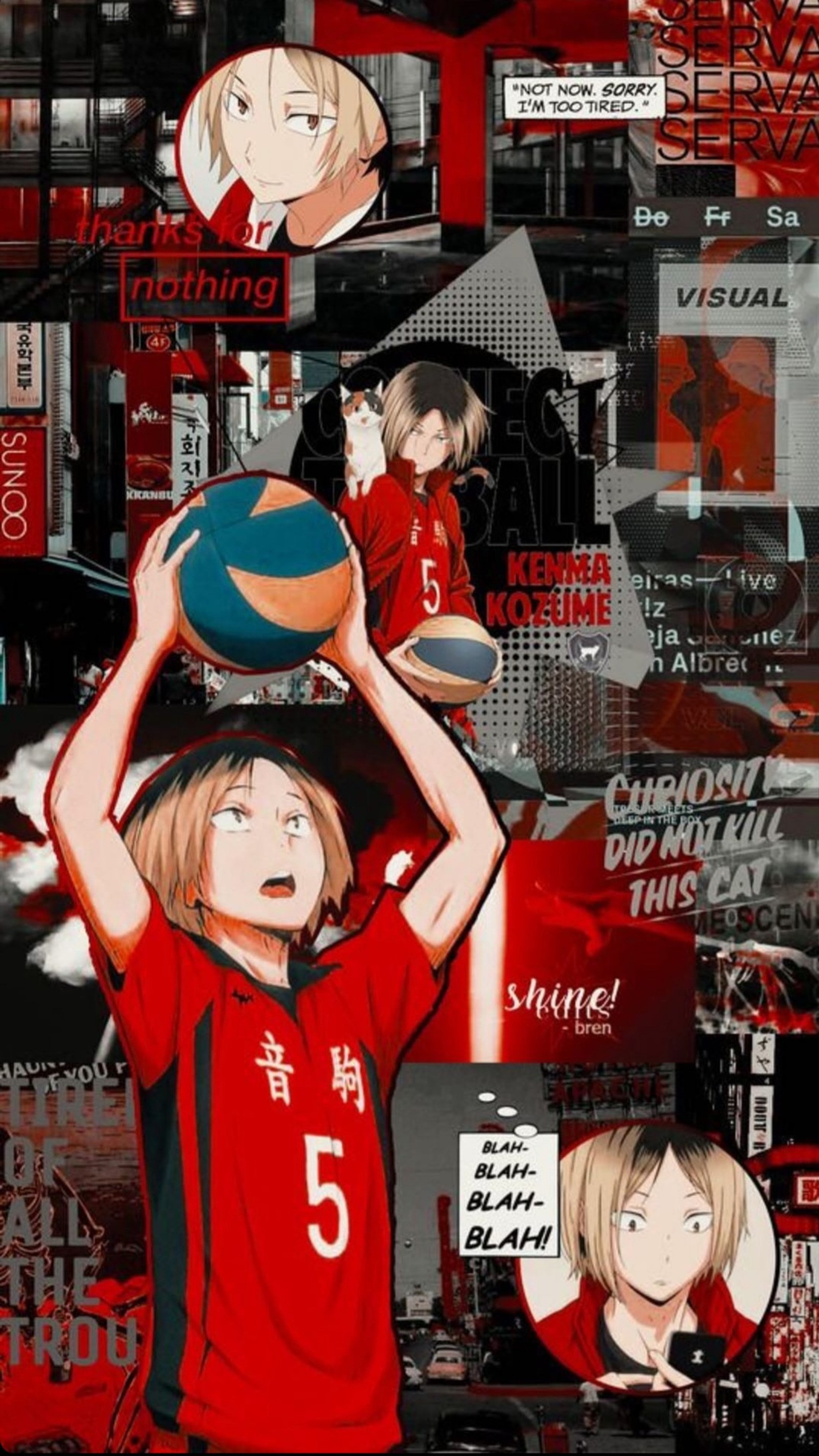 Descargar fondo de pantalla haikyuu, kenma