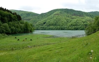 terras altas, natureza, reserva natural, reservatório, lago