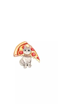 chat, mignon, drôle, pizza, tumblr