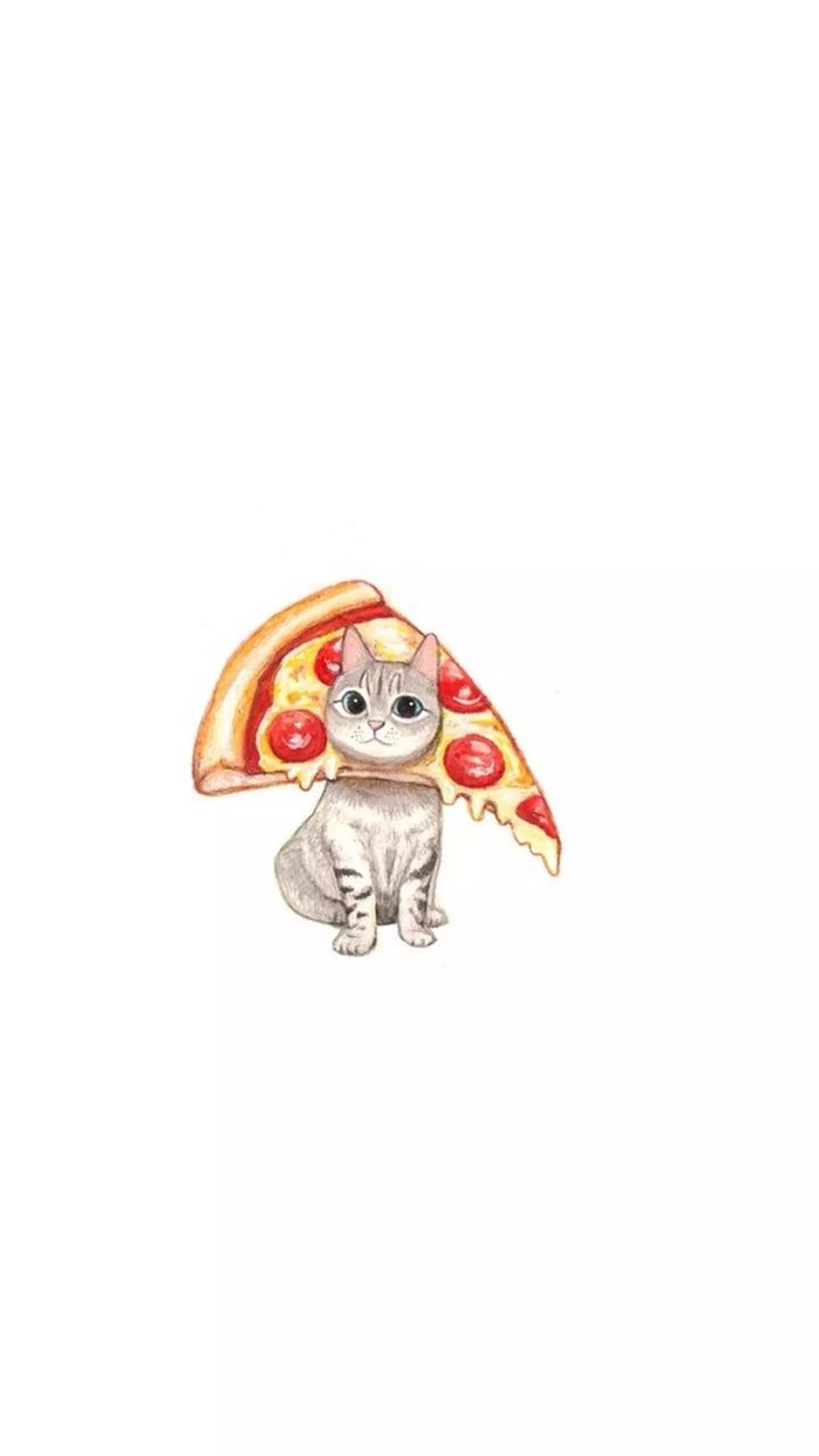 Há um gato segurando uma fatia de pizza. (gato, fofo, engraçado, pizza, tumblr)