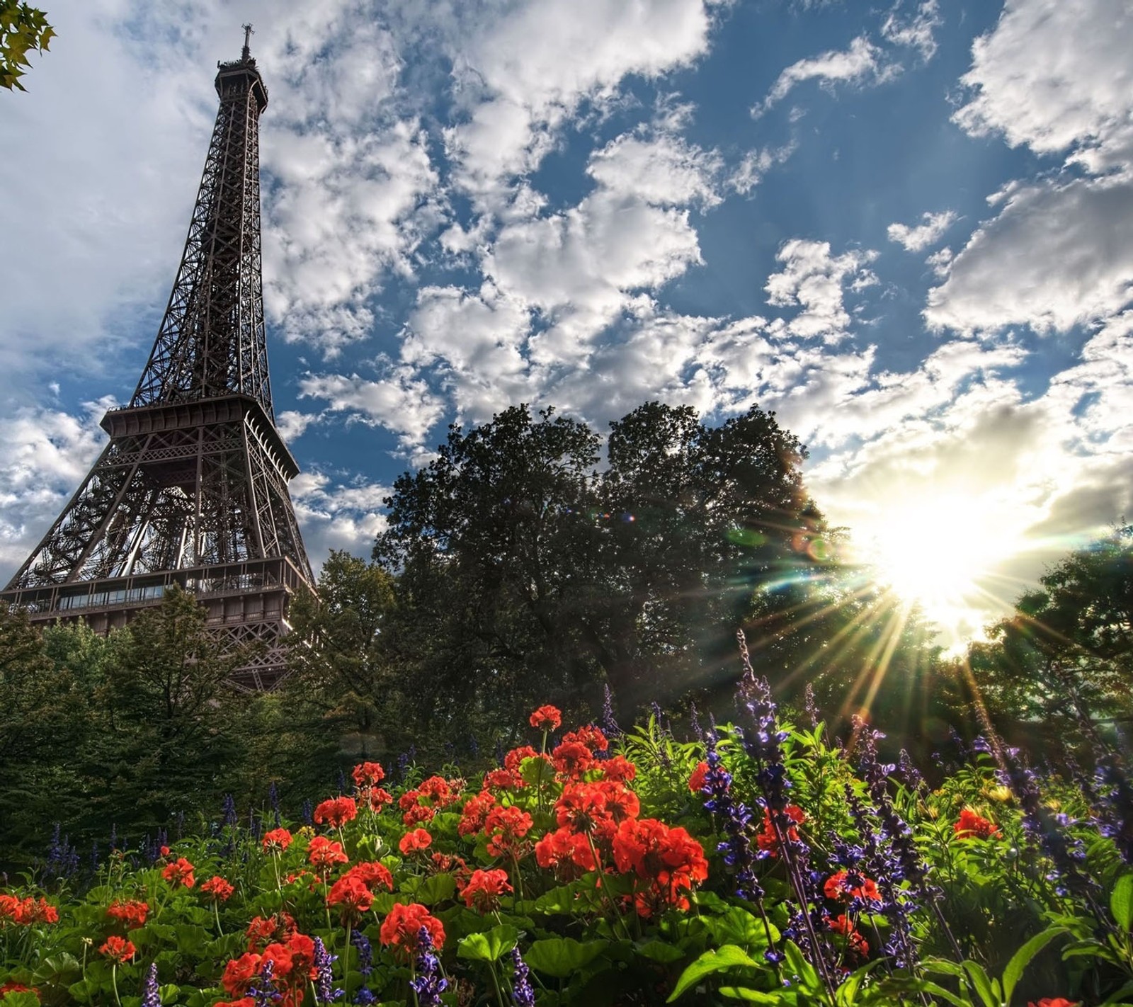 Arafed view of the eiffel tower with flowers in the foreground (eiffel, nature, paris, tower)