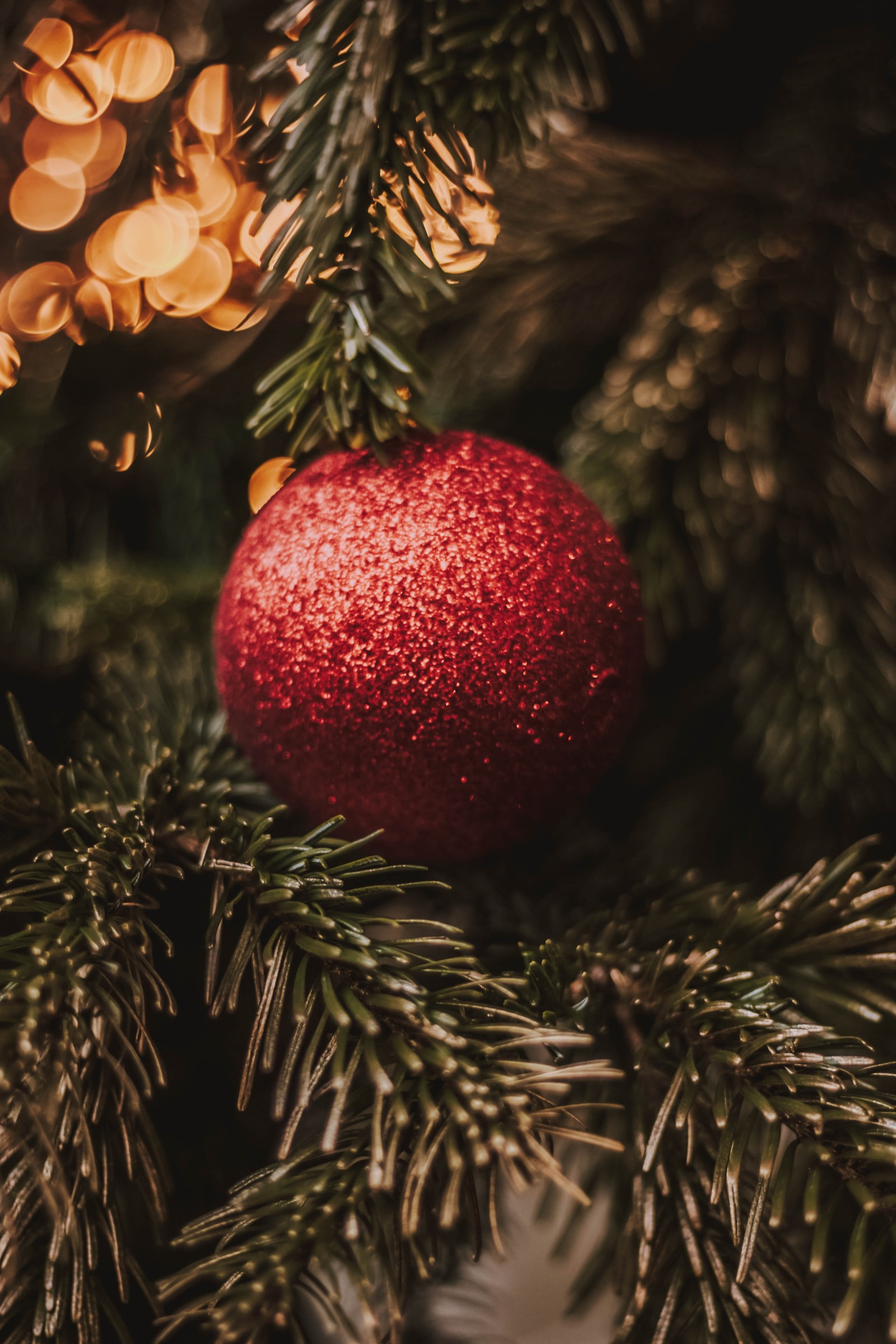 There is a red ornament hanging from a christmas tree (christmas day, new year, christmas ornament, christmas, tree)