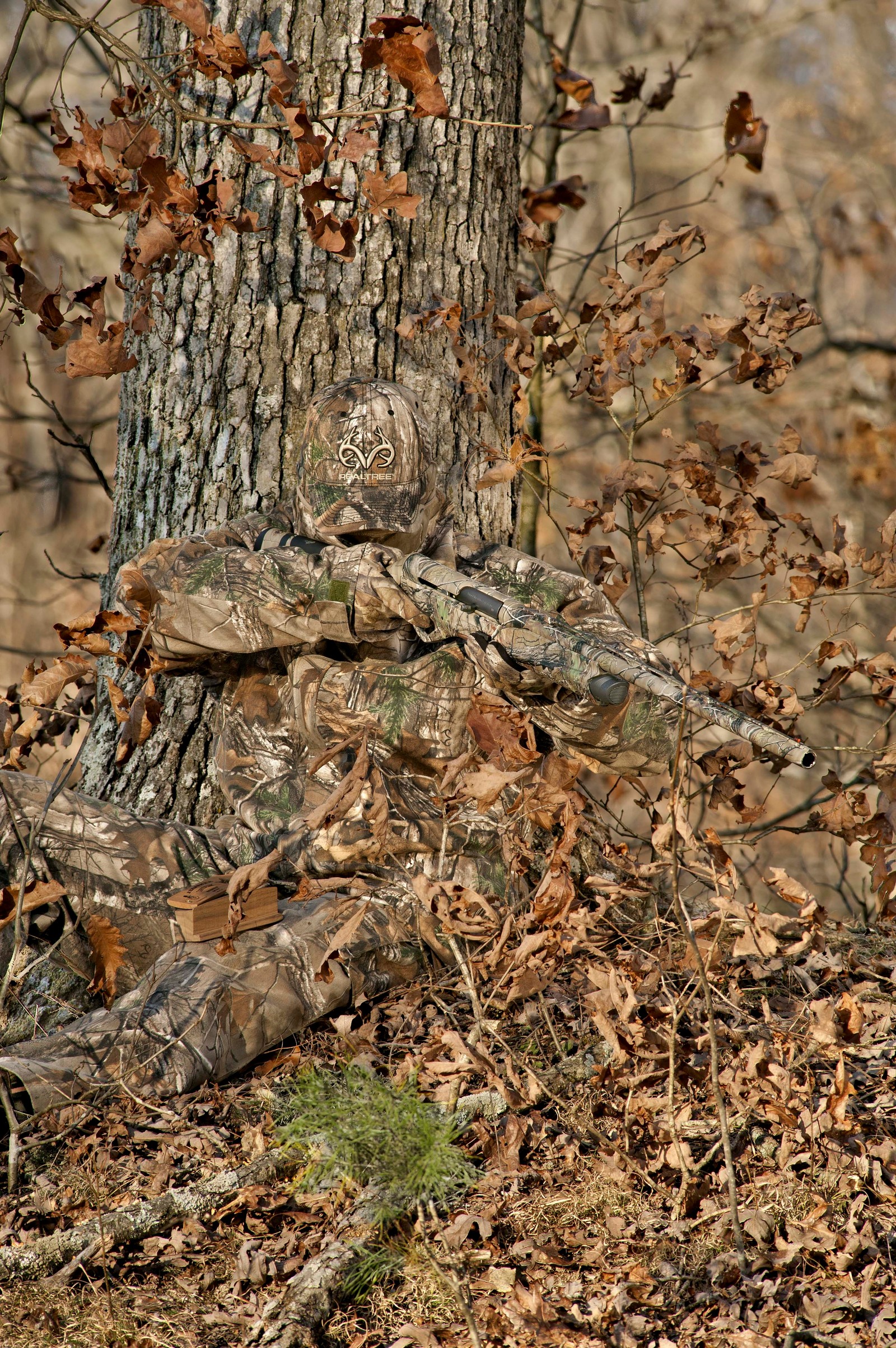 Hay un gato sentado en el suelo cerca de un árbol (camuflaje, árbol, ropa de caza, caza, camuflaje militar)