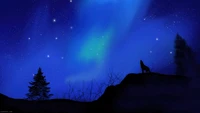 lobo, silueta, noche, cielo, escenario