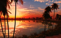 Réflexion sereine du coucher de soleil sur des eaux bordées de palmiers