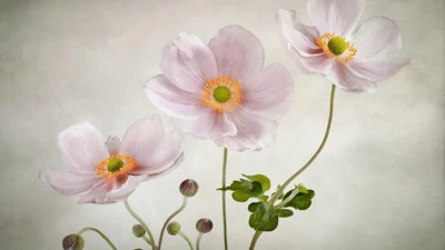 Delicate pink flowers with soft petals and vibrant centers, beautifully arranged in a serene watercolor design.