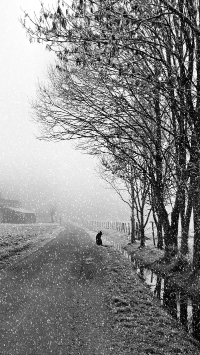 Figura solitária entre árvores nevadas em uma paisagem nevoenta