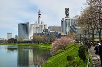 Paysage urbain printanier : Cerisiers en fleurs et skyline moderne de Tokyo