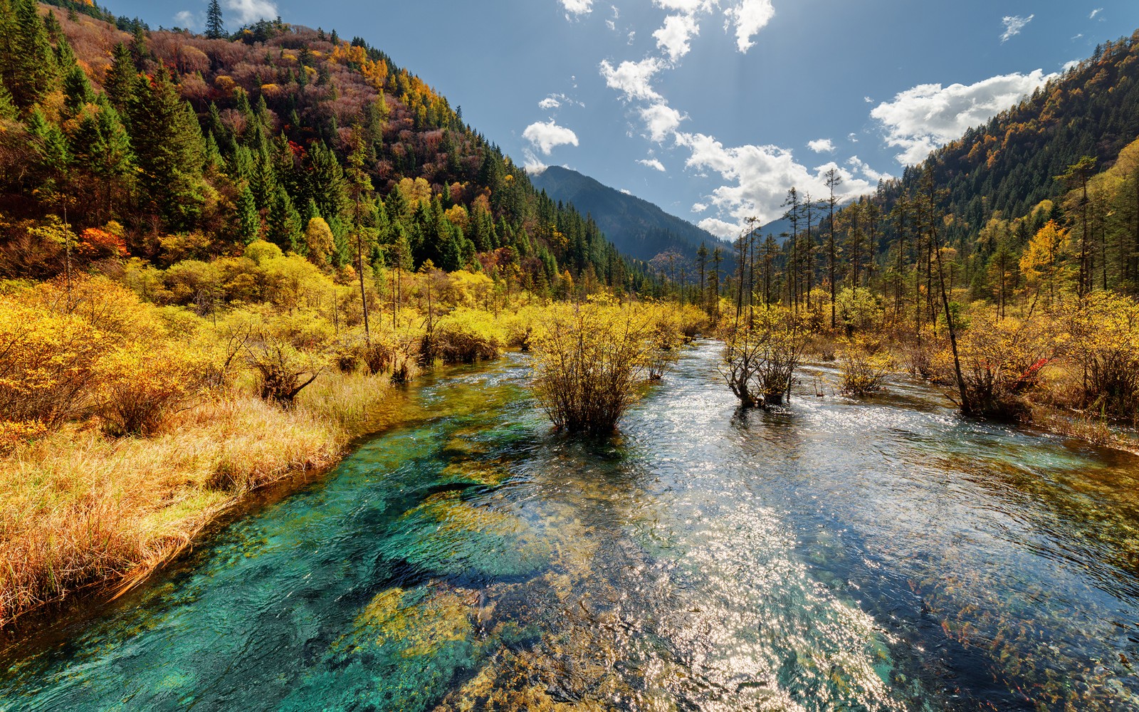 Un río en las montañas con árboles y hierba (reserva natural, naturaleza, parque, rio, desierto)