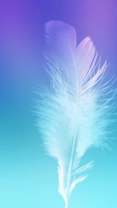 Delicate Feather Against a Gradient Galaxy Background