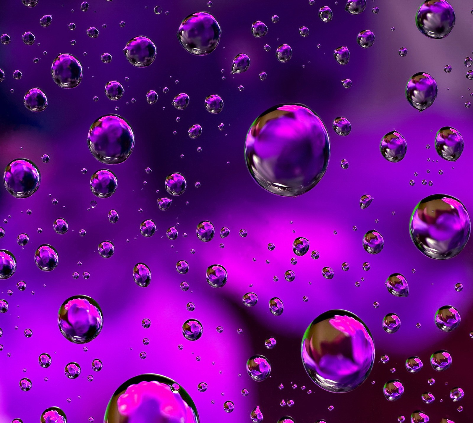 A close up of a bunch of water droplets on a purple surface (drop, wallpaper)