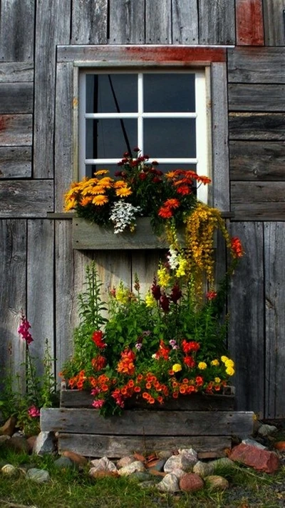 Charmantes Fenster geschmückt mit lebhaften Blumen