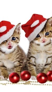 Gatinhos adoráveis com chapéus de Papai Noel cercados por enfeites de Natal