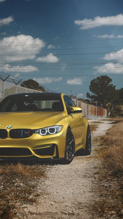 1080p, bmw, carro, carro coupe, f82