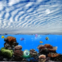 fish, fishes, jellyfish, moon, ocean wallpaper