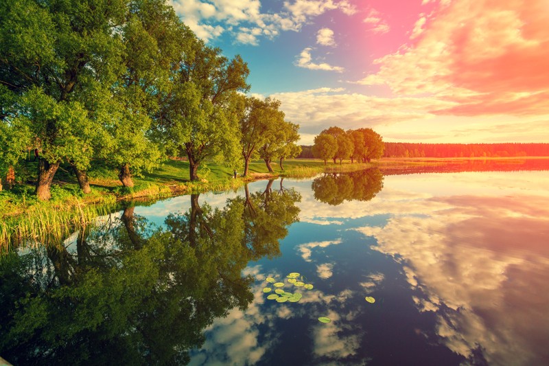 Красивый закат над озером с деревьями и водяными лилиями (лес, дом, природа)