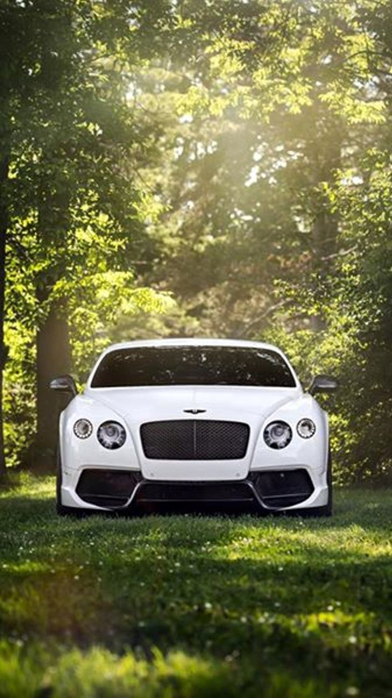 Скачать обои машина, gt bentley continental