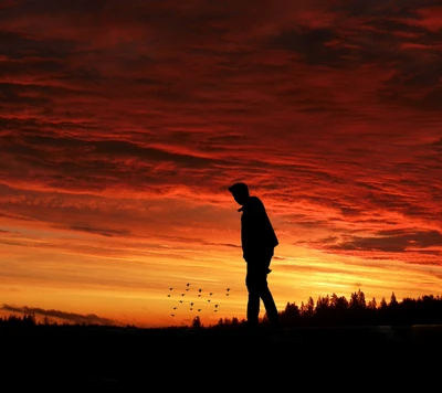 brûler, dramatique, panorama, ciel, coucher de soleil