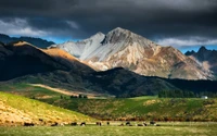 Majestic New Zealand Highlands: Mountainous Landscape with Cattle Grazing Under Dramatic Skies