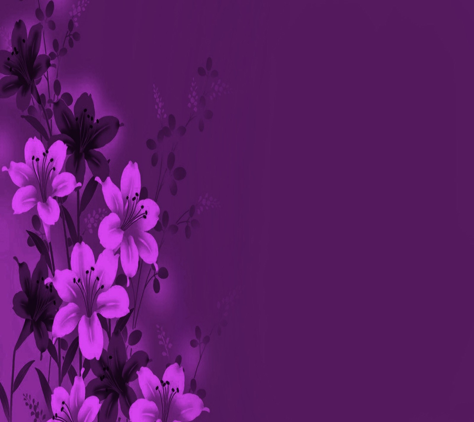 Flores roxas em um fundo roxo com uma borda preta (flores, legal)