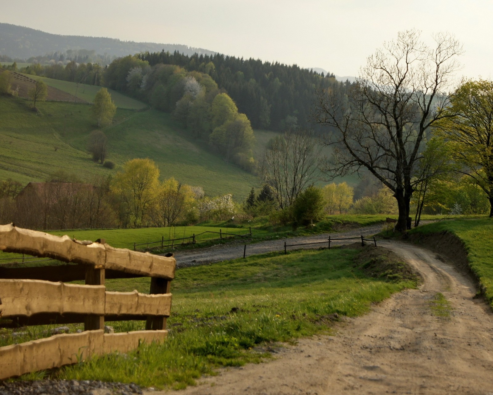 Camino de tierra con una cerca y un árbol al lado (campo, puerta, colina, paisaje, pradera)