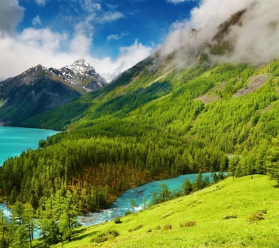 buceta, cloud, green, mountain