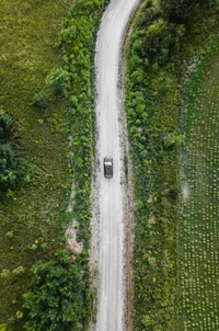 Serene Landscape with a Volkswagen on a Dusty Road Surrounded by Greenery