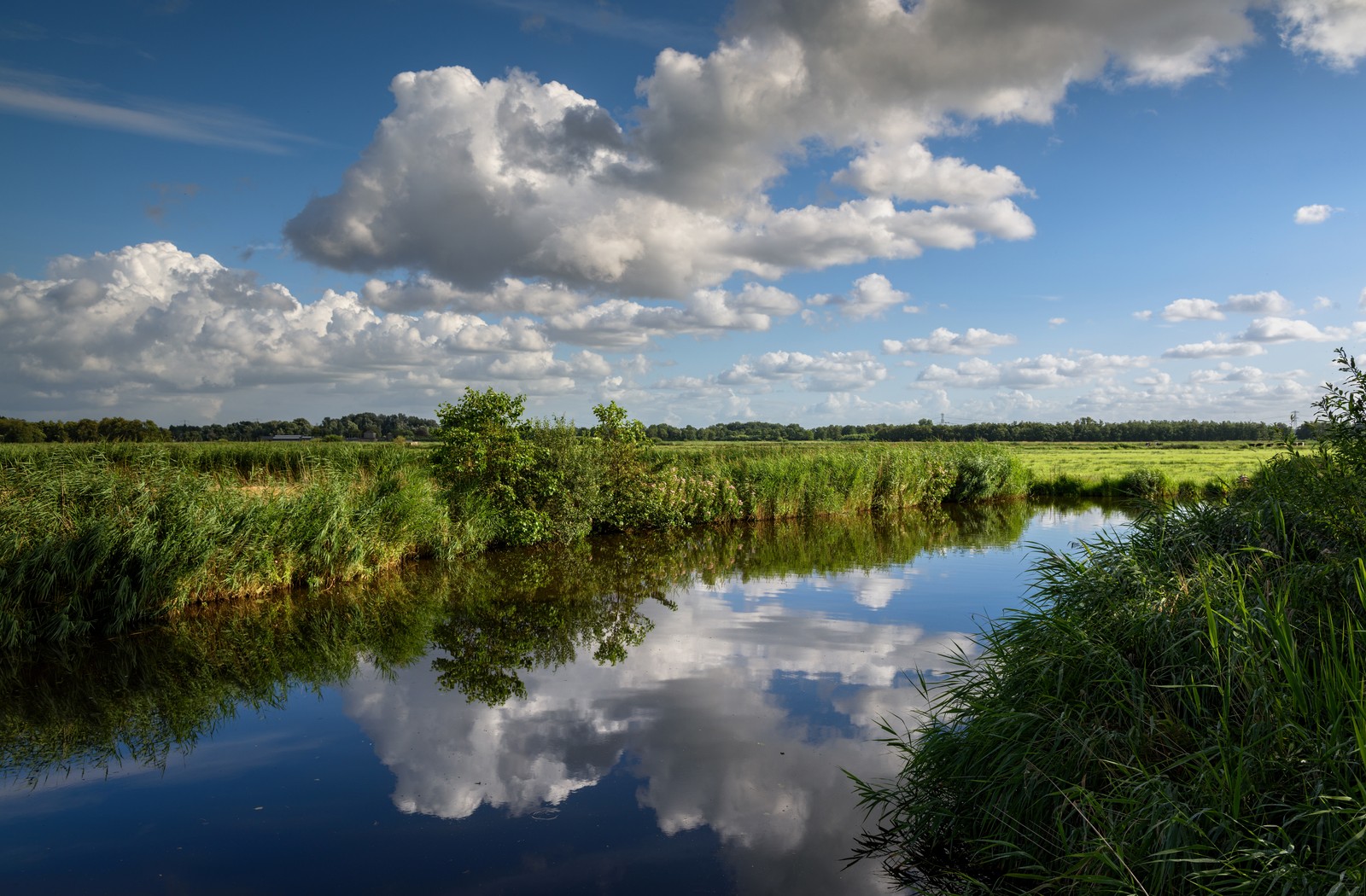 Eine arafierte sicht auf einen fluss mit dem himmel und wolken, die darin reflektiert sind (reflexion, gewässer, wasserressourcen, wolke, naturschutzgebiet)