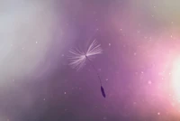 Delicate Dandelion Seed Floating in a Purple Dreamscape