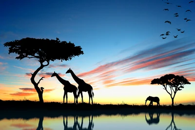 Jirafas majestuosas silueteadas contra un vibrante amanecer sobre la sabana, acompañadas por un elefante pacífico y aves en vuelo.