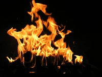 Dancing Flames of a Bonfire