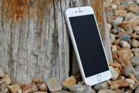 Apple Smartphone Against Rustic Wood and Pebbles