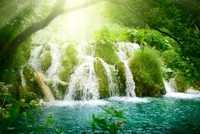 waterfall, nature, water resources, body of water, vegetation