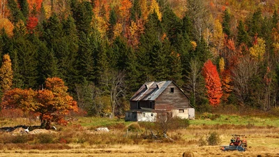 Rustic Farmhouse Amidst Vibrant Autumn Foliage in the Great Smoky Mountains