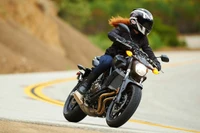 Yamaha FZ16 en action : Un cascadeur navigue sur une route sinueuse.