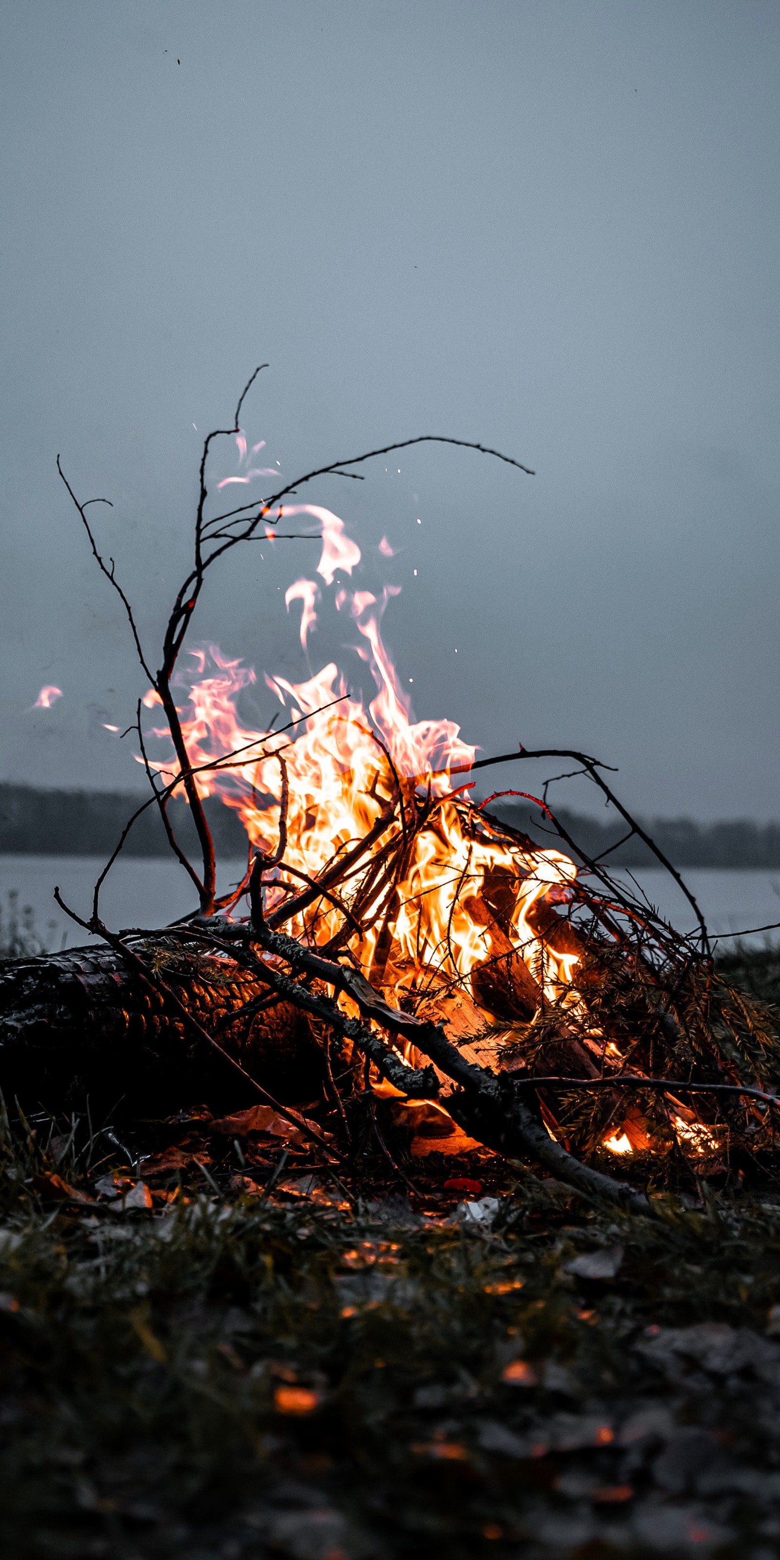 There is a fire that is burning in the grass by the water (ritual, twig, bonfire, wood, natural landscape)