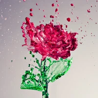 flower, liquid wallpaper